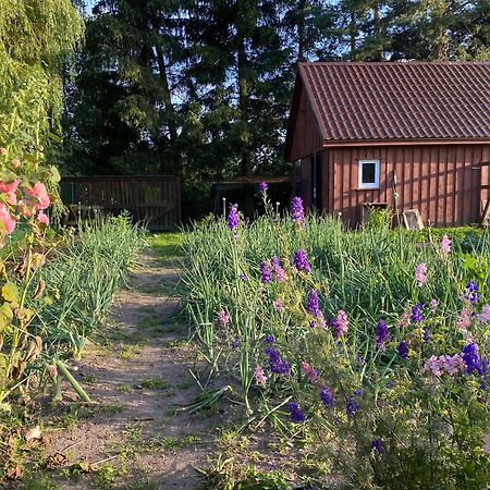 Agroturystyka Omelia Człuchów Kültér fotó